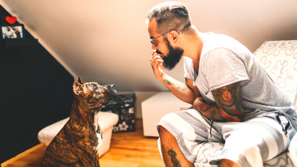 Learning to Understand Dog Communication